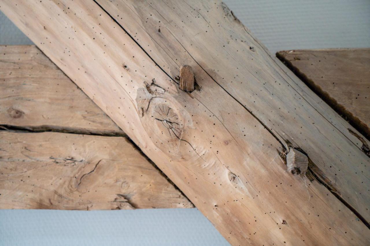 Hoeve De Bongerd Beesel Esterno foto